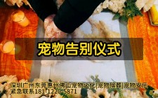 深圳宠物殡葬服务平台官网	(宠物殡葬服务中心殡葬师考试报名入口)