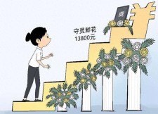 爱民殡葬服务	(民政局殡葬服务所)