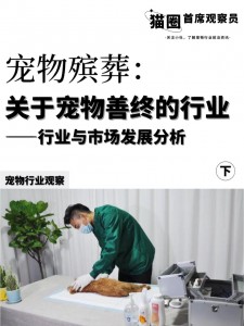 动物殡葬服务ppt	(动物殡葬服务有关政策国家规定最新)