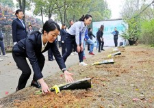 殡葬服务保障专报	(殡葬服务保障专报怎么写)