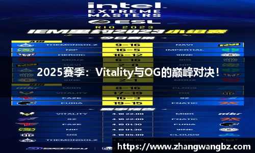 2025赛季：Vitality与OG的巅峰对决！